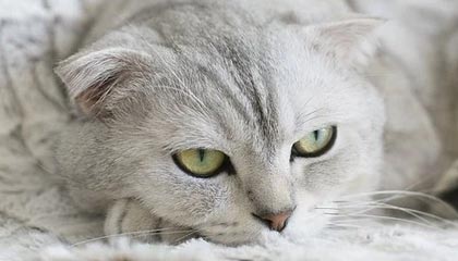 汕尾伴游，定制QQ：3494206190微信：act1322